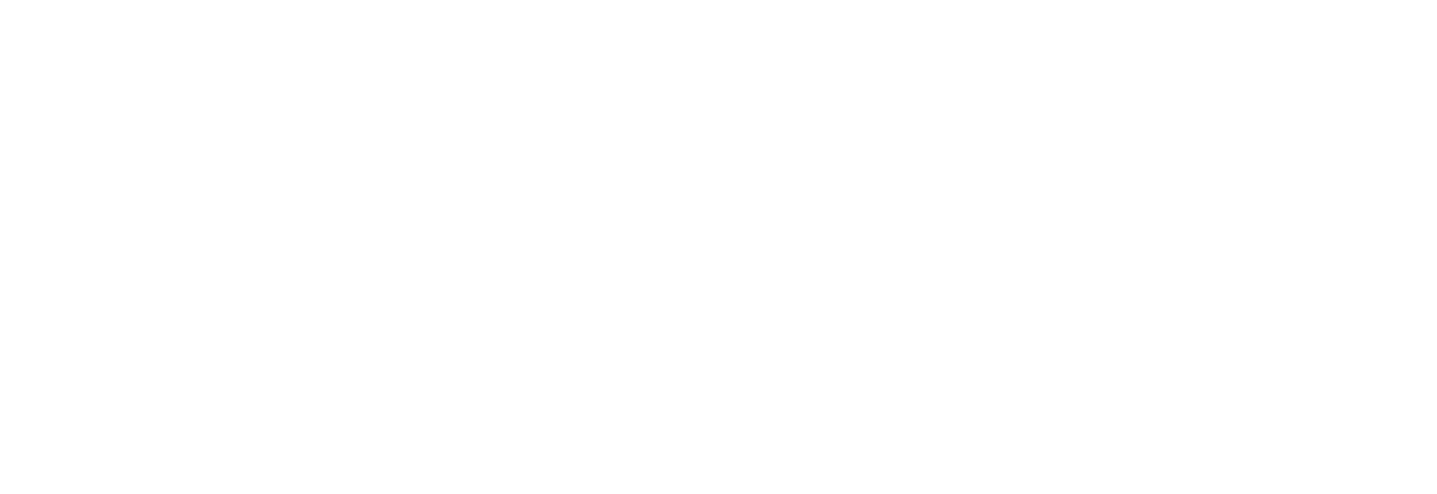 Binarii
