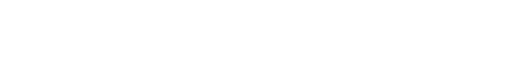 Biyectiva